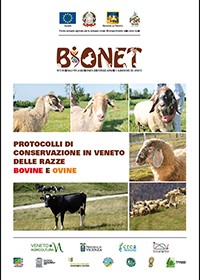 Protocolli di conservazione in Veneto delle razze bovine e ovine