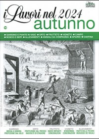 Lavori nel 2024 autunno