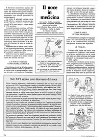 Il noce in medicina