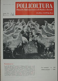 Pollicoltura marzo 1959