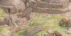 Allevatori irlandesi dell’Età del Ferro