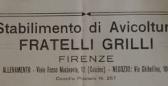 Stabilimento di Avicoltura Fratelli Grilli