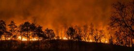 Incendi boschivi