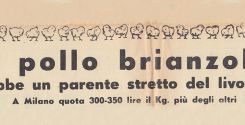 Il pollo Brianzolo