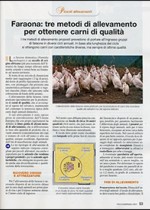 Faraone: tre metodi di allevamento per ottenere carni di qualità