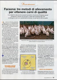 Faraone: tre metodi di allevamento per ottenere carni di qualità