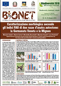 Caratterizzazione morfologica secondo gli indici FAO di due razze d’anatra autoctone: la Germanata Veneta e la Mignon