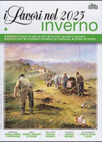 Lavori nel 2023 inverno