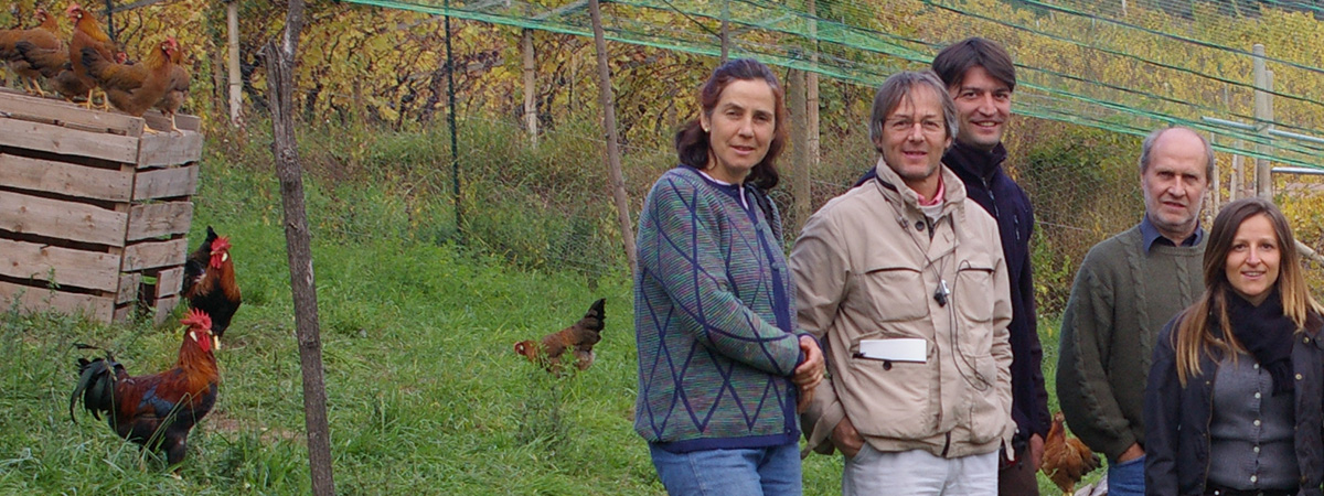 Avicoltura di montagna a Mezzolombardo