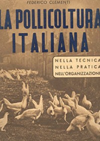 La pollicoltura italiana