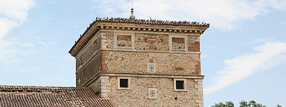 Le Grandi torri colombaie